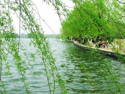 1536809241916383.jpg ouwen.jpg